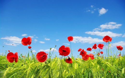 1054570 (a): :2880x1800